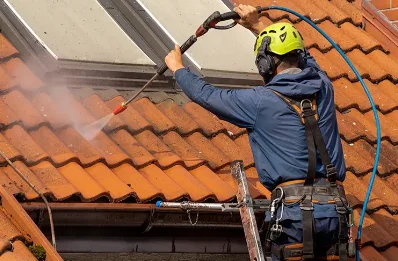 Démoussage et hydrofuge de toiture à Domarin